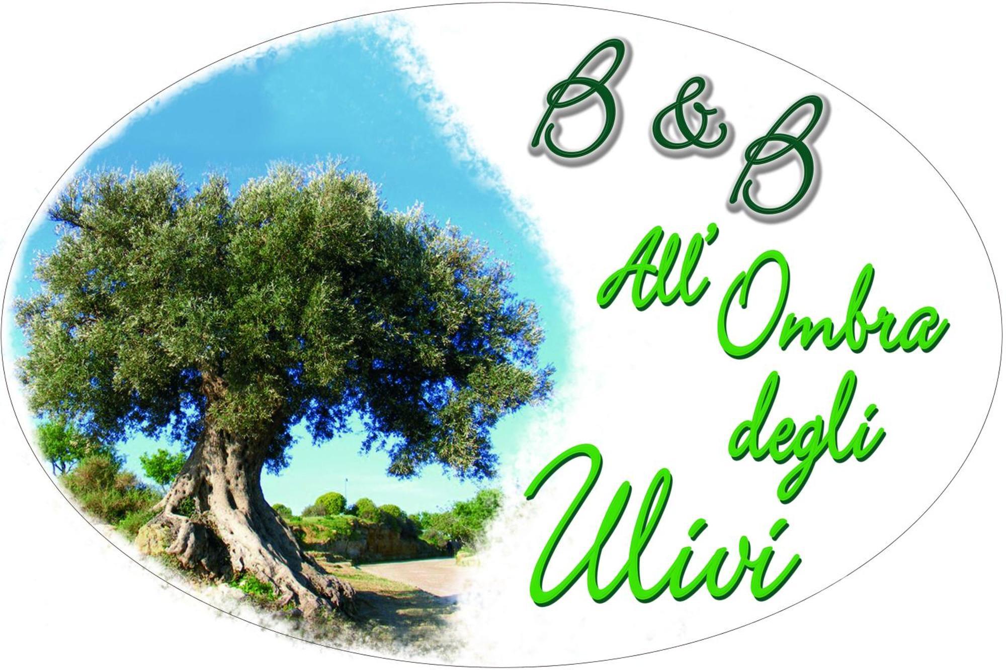 B&B All'Ombra Degli Ulivi Ostuni Exterior photo