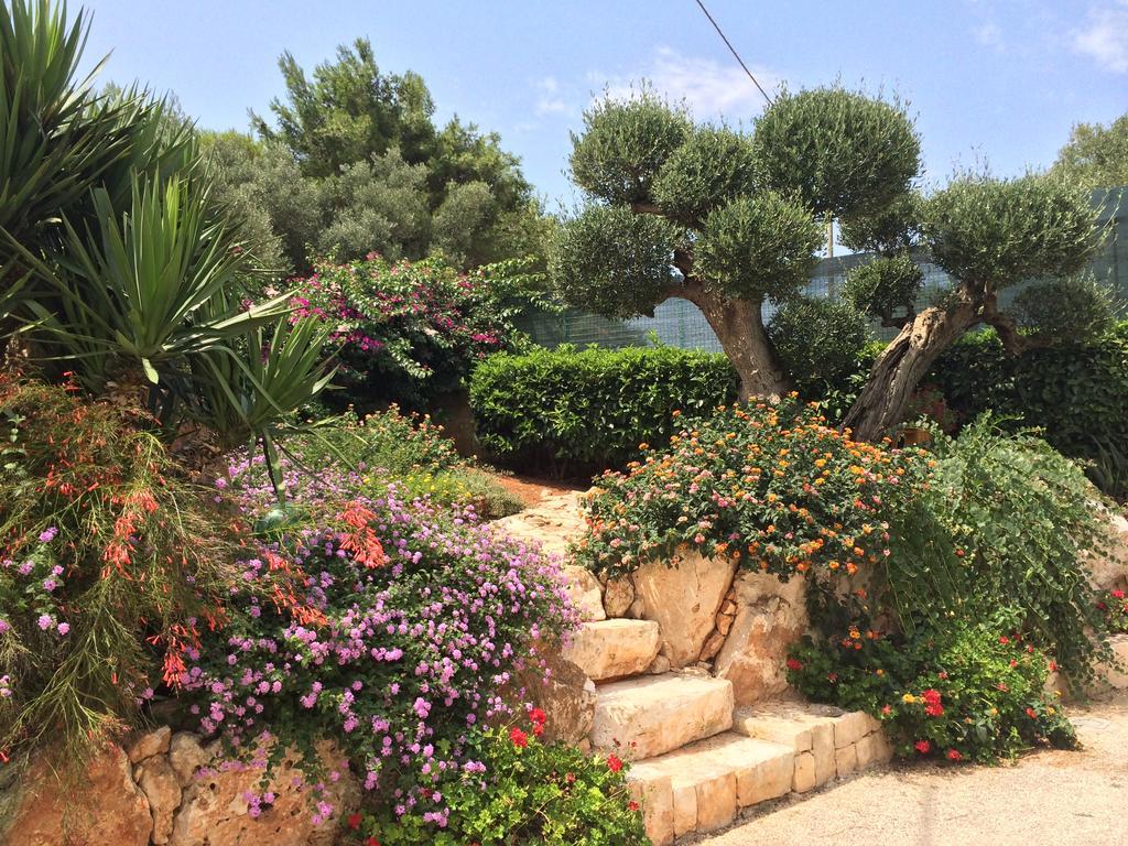 B&B All'Ombra Degli Ulivi Ostuni Exterior photo